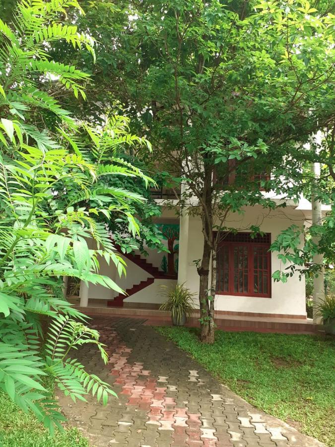Yonara Green Rest Habarana Exterior photo